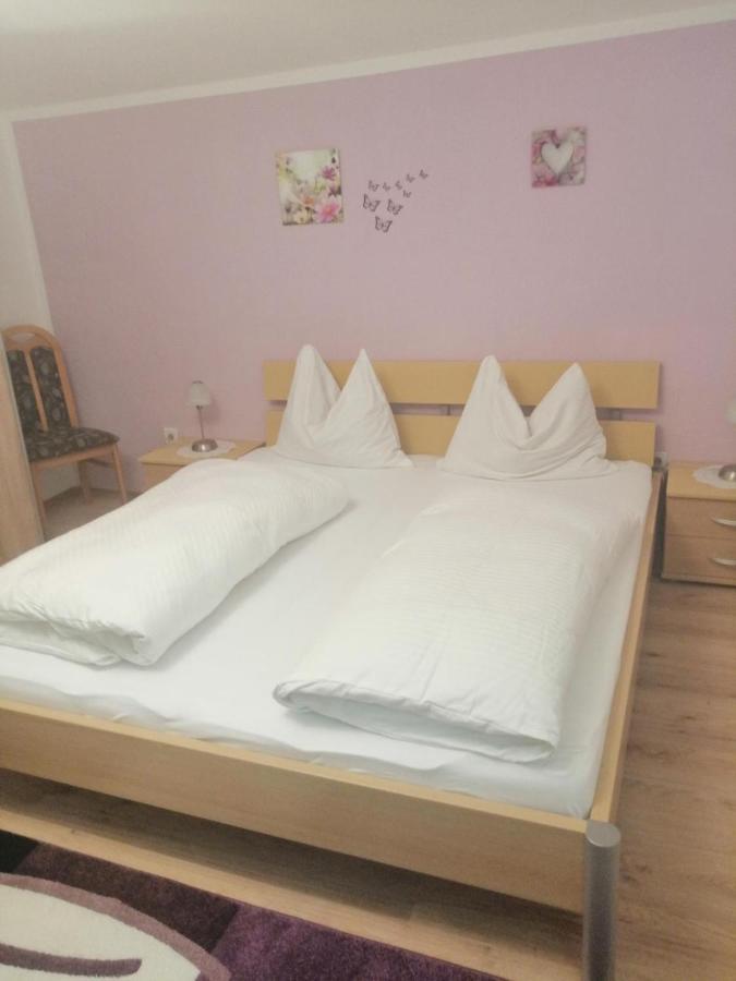 Ferienwohnung Marianne Annaberg im Lammertal Εξωτερικό φωτογραφία
